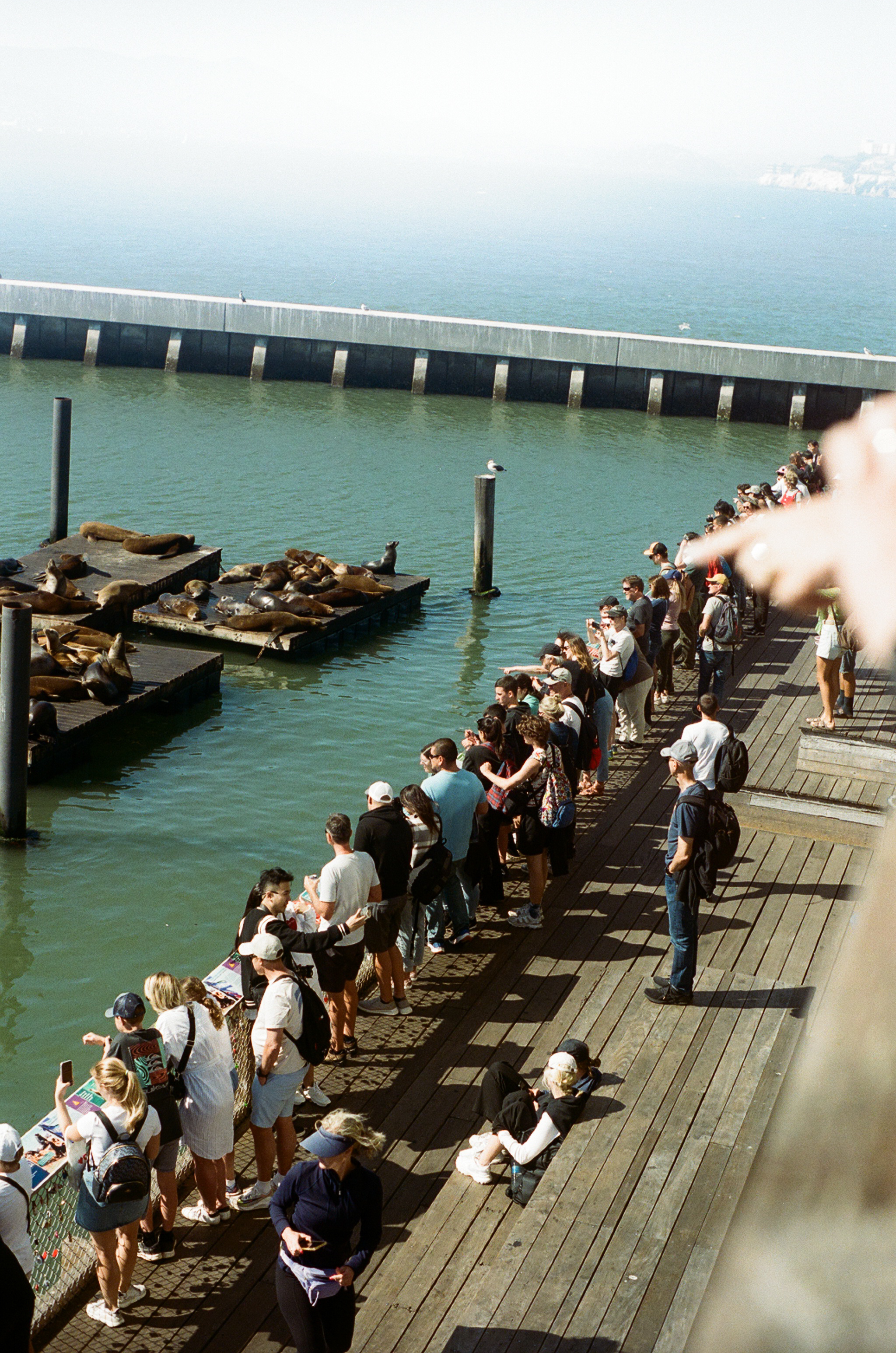 Art-directed photo concept 25