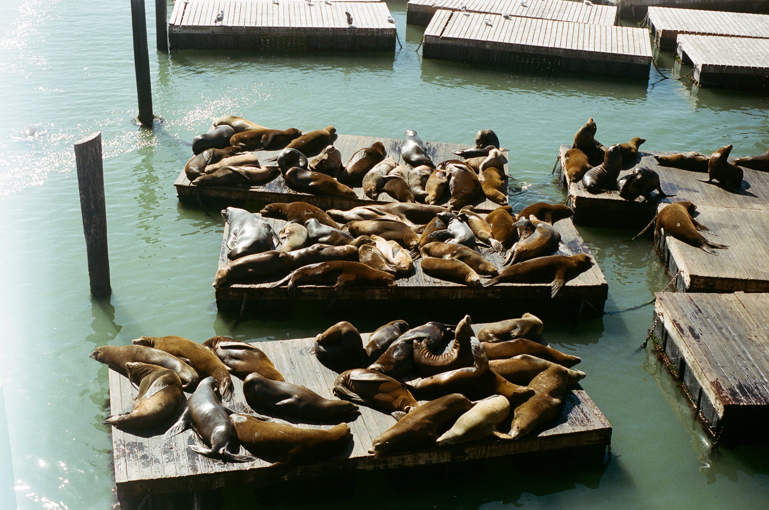 Art-directed photo concept 26